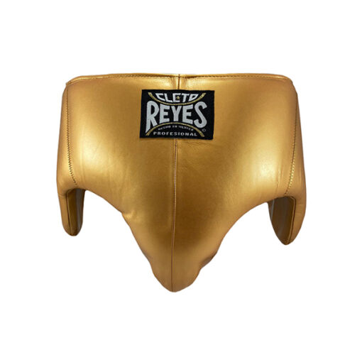Cleto Reyes Kidney and Foul Protection Cup - Solid Gold