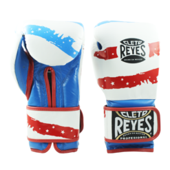 Cleto Reyes Training Gloves with Hook and Loop Closure - USA Flag