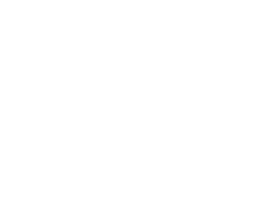 Cleto Reyes Boxing Official