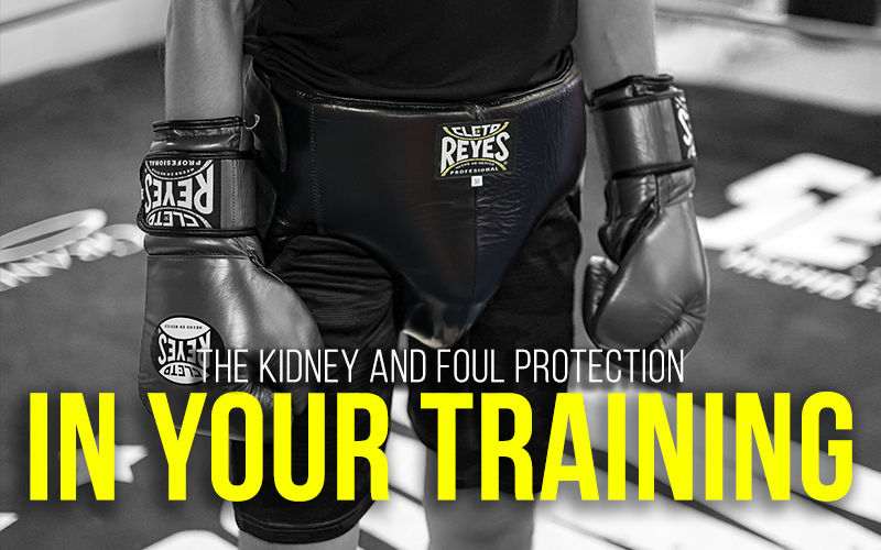 CLETO REYES Kidney and Foul Protection Cup 