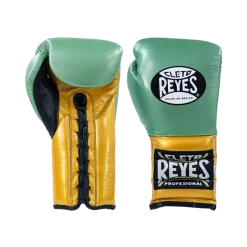 Traditional Training Gloves - WBC Edition